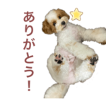 おっとりハチミツ