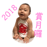 2018 Mid-Autumn Festival