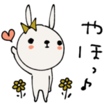 mottoの伝えるうさぎ♡サクッと