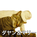 ダヤン＆マリー