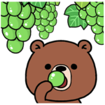 普通のクマ 2022年（秋）