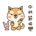 Shiba Inu Little Butt 8