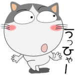 ハチワレ猫★動物パペット大集合　再び