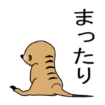 ミーアキャットの豆太郎2