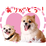 そらとミッキー