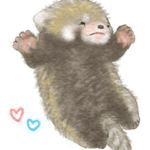 レッサーパンダ　ポへ / Baby ベイビー