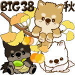 ちゃちゃ丸と仲間たち 38『秋』