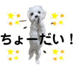 犬のポンちょうだいスタンプ