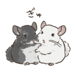 チンチラ ゆるかわ日常&お仕事編