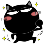 毎日、黒猫家族