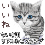 ないき用リアルかわいい猫
