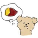 毎日トイプー♡