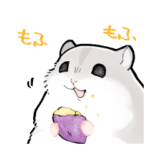 もふもふ怠惰なジャンガリアンハムスター