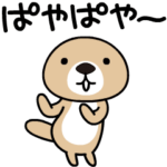 動け！突撃！ラッコさん5