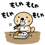 突撃！ラッコさん8