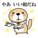 突撃！ラッコさん５