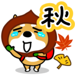 柴犬、秋の遠足。