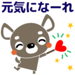 大人の優しい気遣い チワワ/犬好きさんに