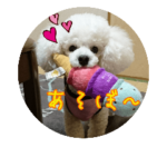 しんのすけとおともだち