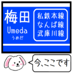 阪神 なんば線 武庫川線 本線この駅だよ