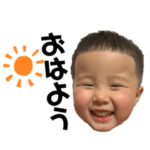 TORAJIくん　by整体千鳥