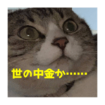 我が家のねこスタンプvol.1