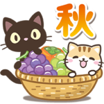 クロときどきミケ