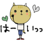 mottoの服を着る猫♡