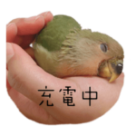 ツ•ボタ•トトロ 2