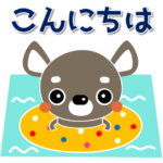 犬好きなあなたへ ちわわ 夏 暑中見舞い 1