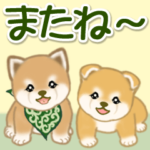 よちよち豆柴兄弟　大きなお返事