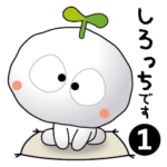 「しろっち-1」のシンプルスタンプ。