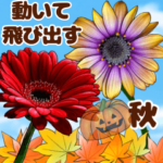 素敵な秋のお花たちとデカ文字多め
