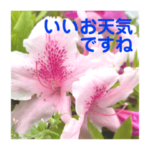 『素敵な花でご挨拶』スタンプ