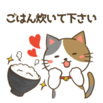 家事をお願い!三毛猫さんと黒白猫さん