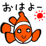 ダイビング、お魚、大好き！