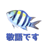 敬語バージョン！釣れたお魚スタンプ