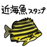 近海魚スタンプ〜磯採集の魚たち〜