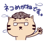 お魚大好きなネコめがねさん