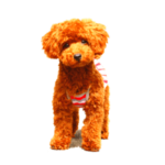 べるちゃんスタンプ