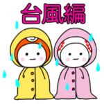 ぼーるちゃんの夏