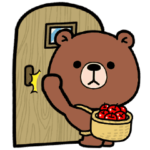 普通のクマ普通のウサギ 2022年（秋）