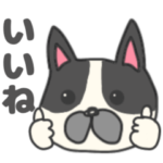 フレンチブルドッグ★フレブル犬