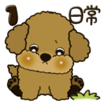 茶プードル 1『日常』