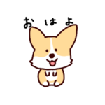 コーギーのらみちゃん