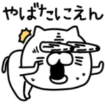 ねこたまっしぐら陽気なヤツ