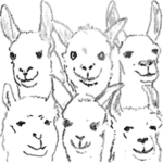 ラマ（インピツ）