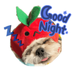 ぎんのおもしろスタンプ