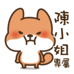 House shelter fox-Miss Chen