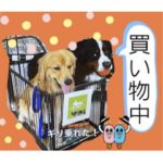 びすけ物語／maro07